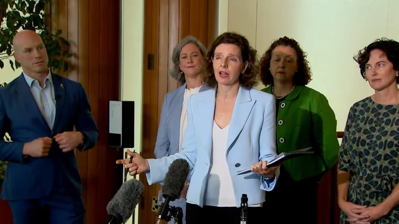 Teal MPs in talks to form new political party