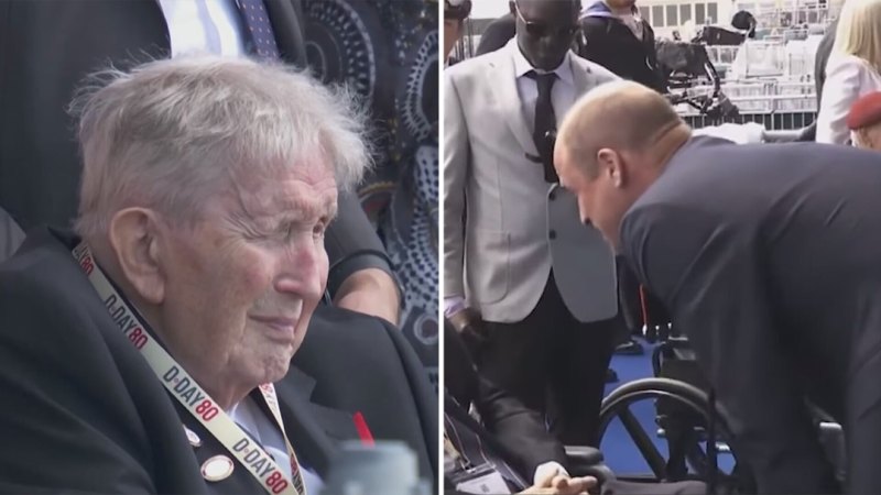 Prince William gives update on the Princess of Wales at D-Day commemorations