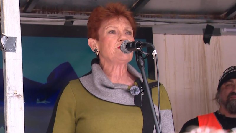 Hanson addresses anti-immigration rally