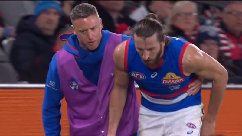 'Didn't look good': Concern for Dogs skipper