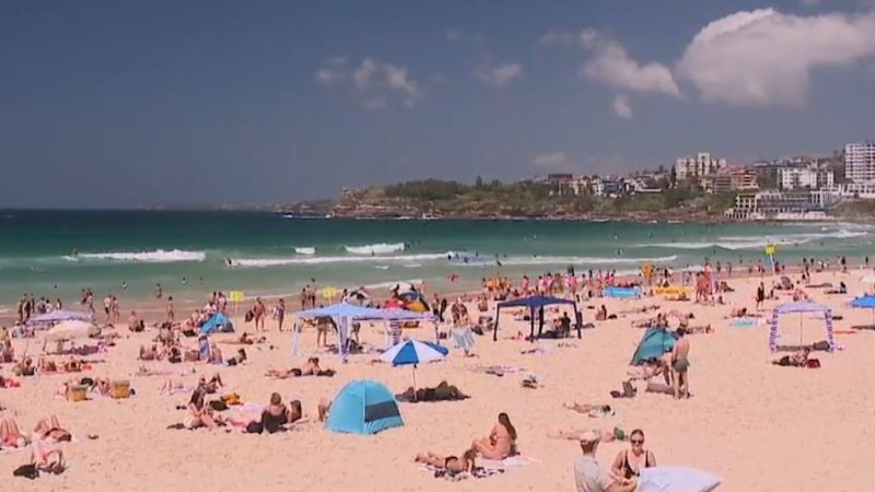 Heatwave alert for NSW
