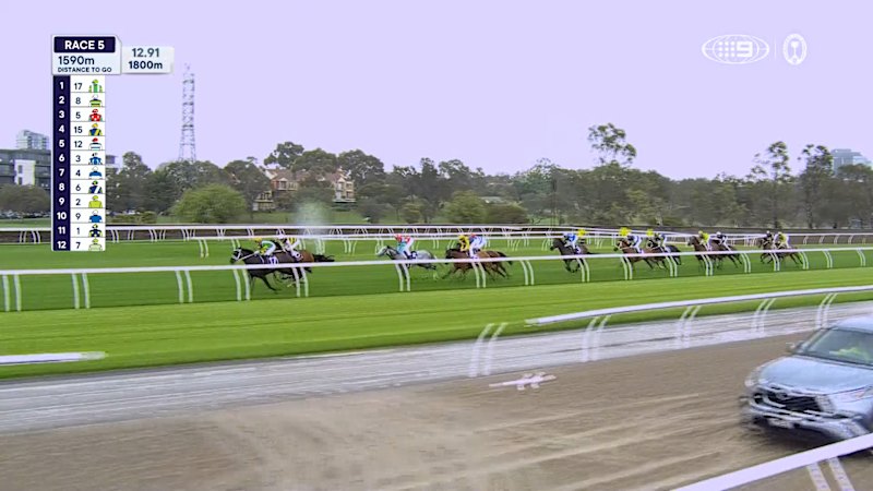 Tab Champions Stakes Day: Race 5 - Queen Elizabeth Stakes
