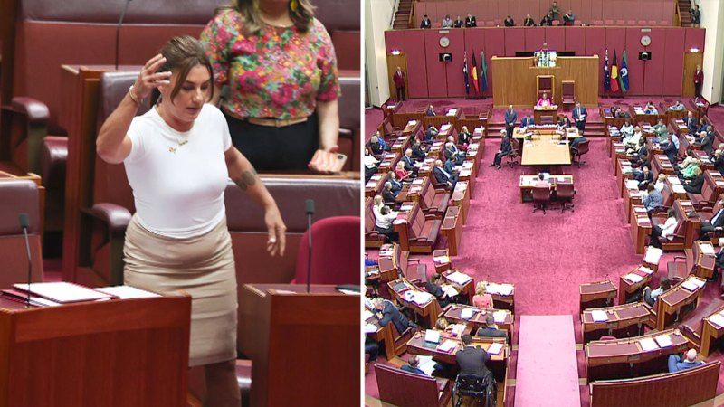 Chaos on final day of parliament for the year