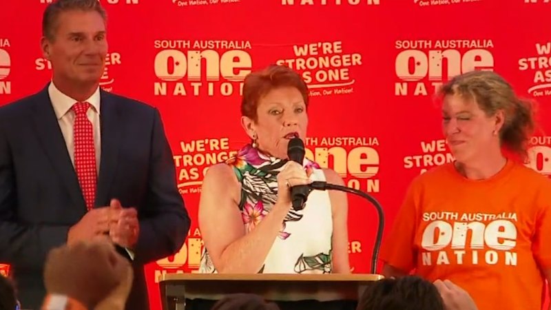 Questions remain despite One Nation's meteoric rise