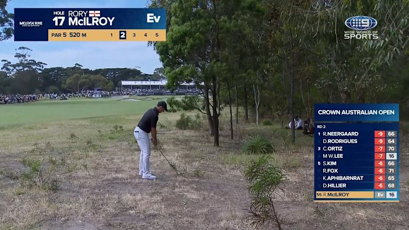 McIlroy finds the green with stunning shot