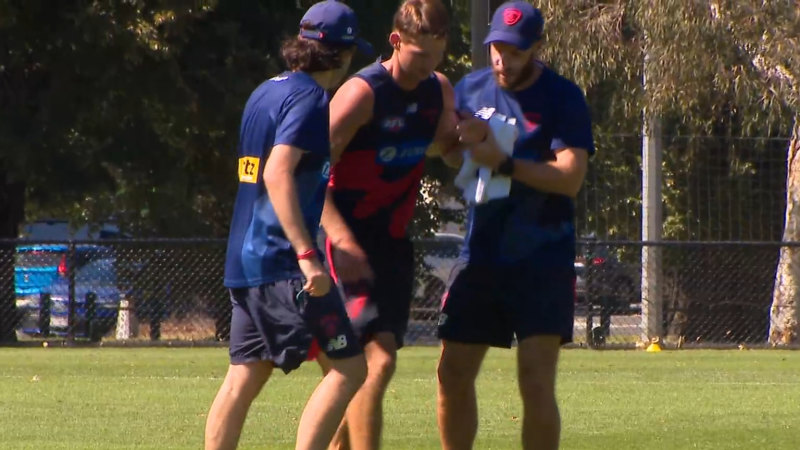 Demons young gun goes down at training