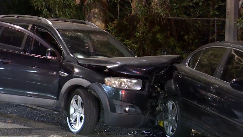 Wanted woman allegedly drove at police