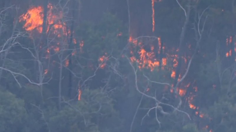 Large parts of Australia facing increased bushfire risk this summer