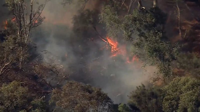 Bushfire emergency declared in WA