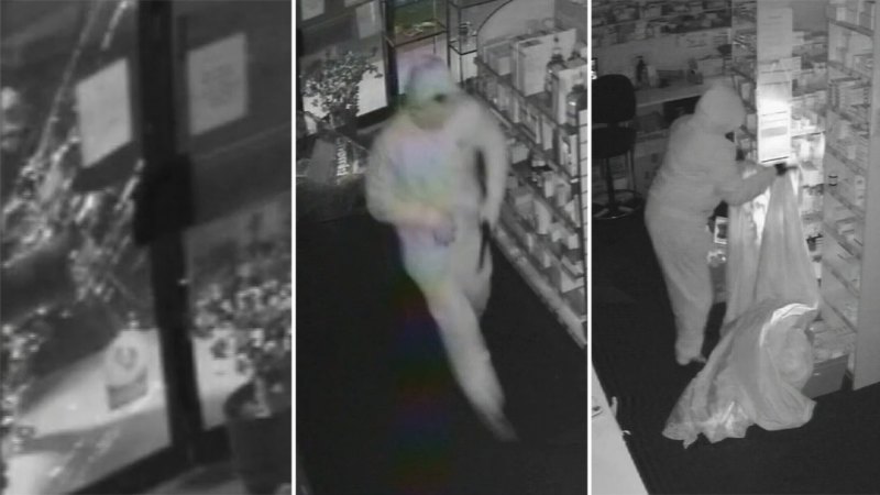 Adelaide chemist targeted in brazen smash-and-grab