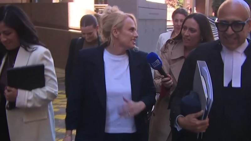 Rebel Wilson denies stalking and hacking actress's social media account