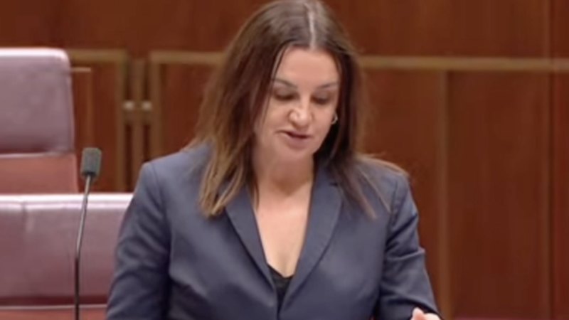 Jacqui Lambie speaks in the Senate