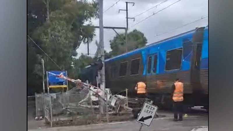 Rail services suspended after train strikes car