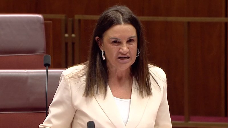 Jacqui Lambie's impassioned plea to PM