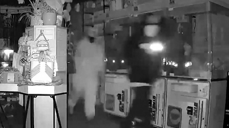 Thousands of dollars' worth of Labubu dolls stolen in California