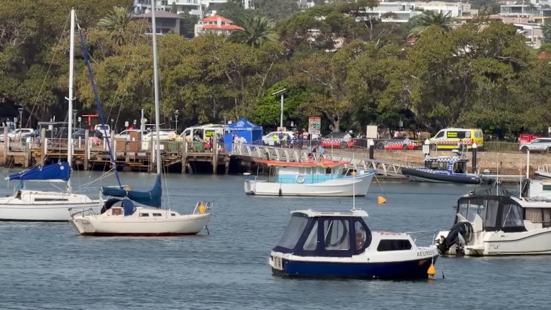 Reports of shark attack in Sydney