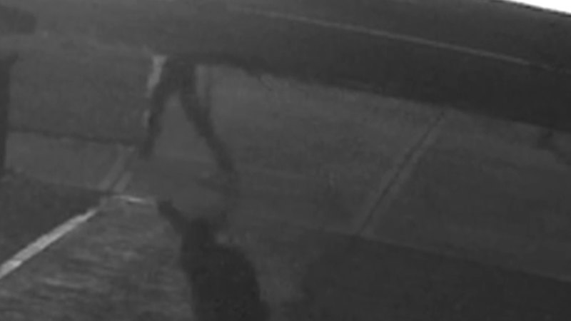 Thieves smash through teen's bedroom window