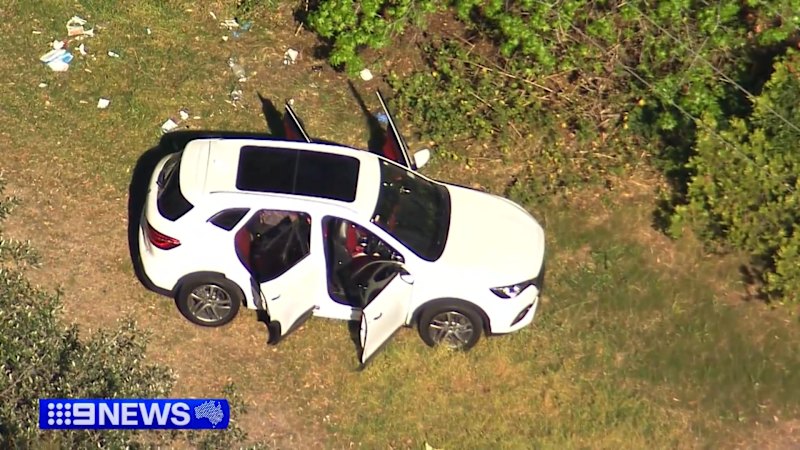 Police investigate multiple alleged domestic-violence murders in NSW over one weekend
