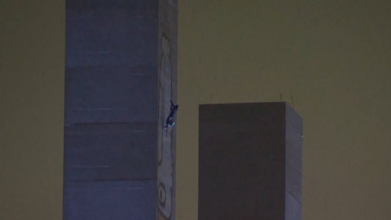 Man arrested after stand-off on Melbourne’s Bolte Bridge over “Pam the Bird” graffiti