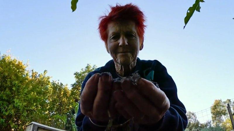 Grandmother leads charge to legalise human composting in Australia