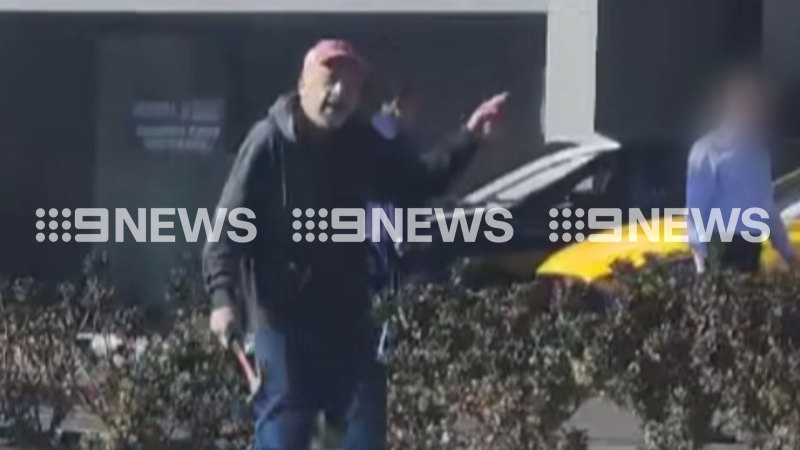 Disgruntled man allegedly torches Sydney car dealership