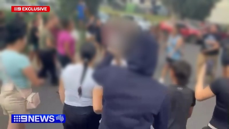 Adults cheer on brawling school children in shock video