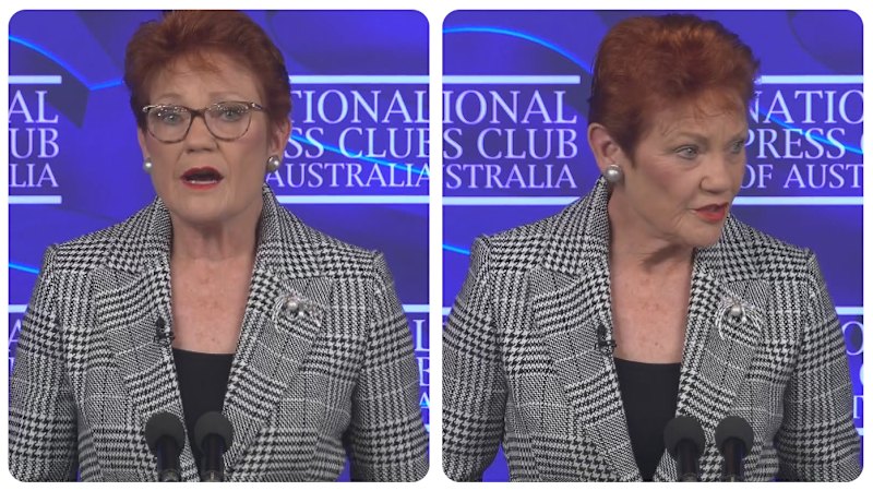 Pauline Hanson States Australia 'Cannot Be a Multicultural Society'