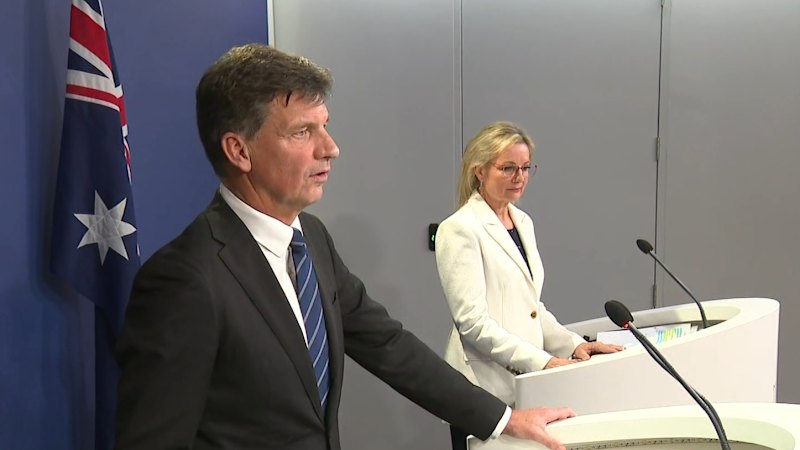 Andrew Hastie says he will not fight to become Liberals leader