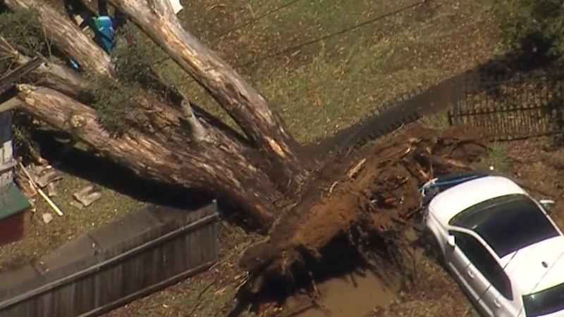 Novi Južni Wales prizadelo močno neurje kljub opozorilom o vročini