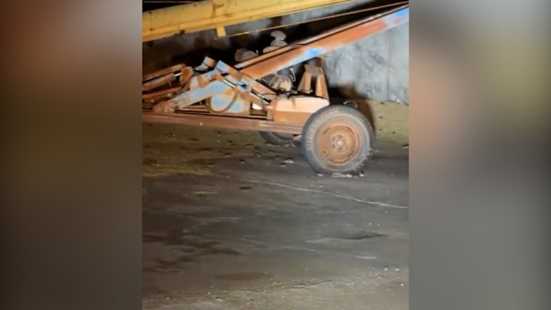 Mouse plague ravages WA's Mid West