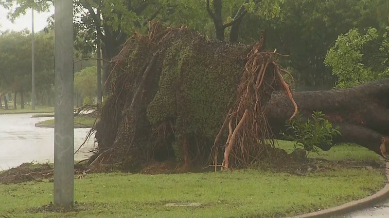 Ciklona Fina pustošila po Darwinu