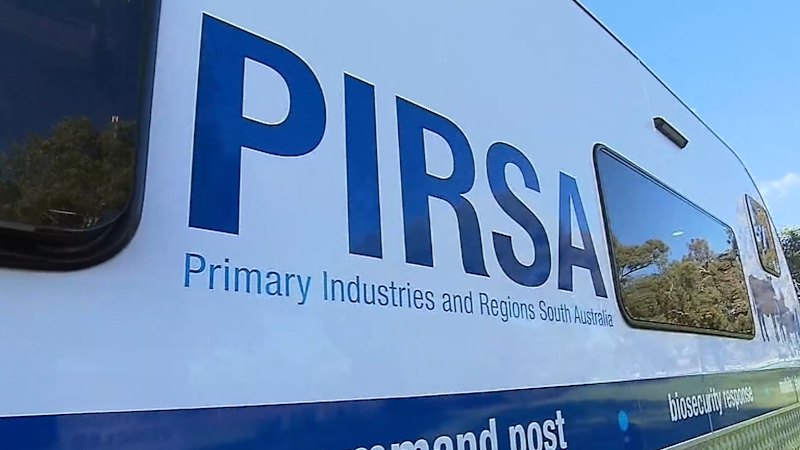 Government braces for H5 bird flu outbreak