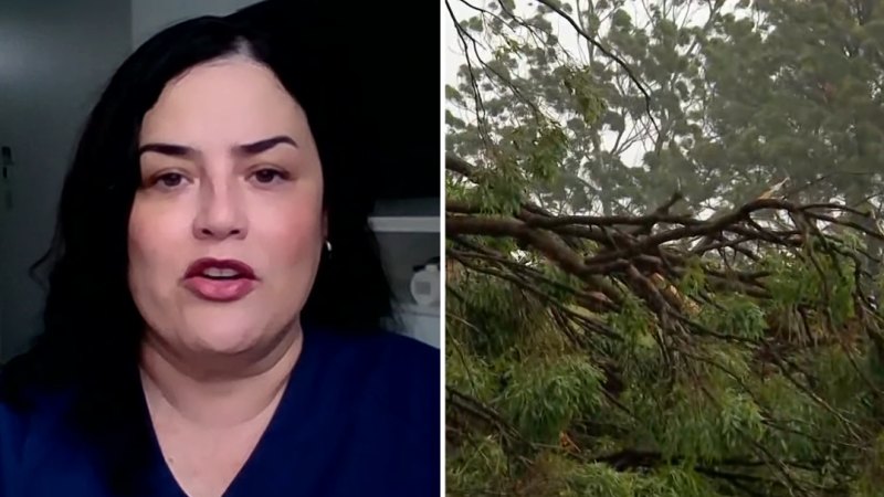 Ex-AMA head discusses hospitals during the cyclone