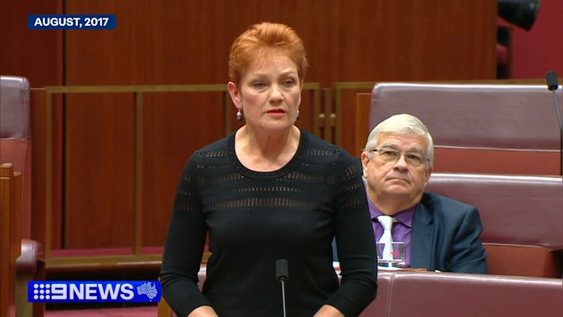 Pauline Hanson seeks to overturn federal court ruling on racial discrimination breach