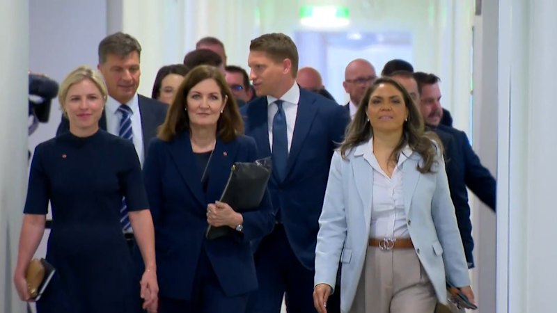 Liberal party set to abandon its net zero pledge