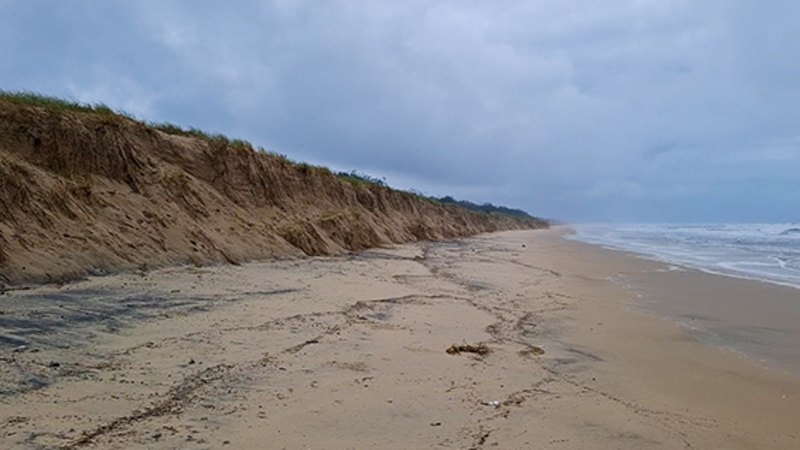 Coastal erosion following Cyclone Alfred