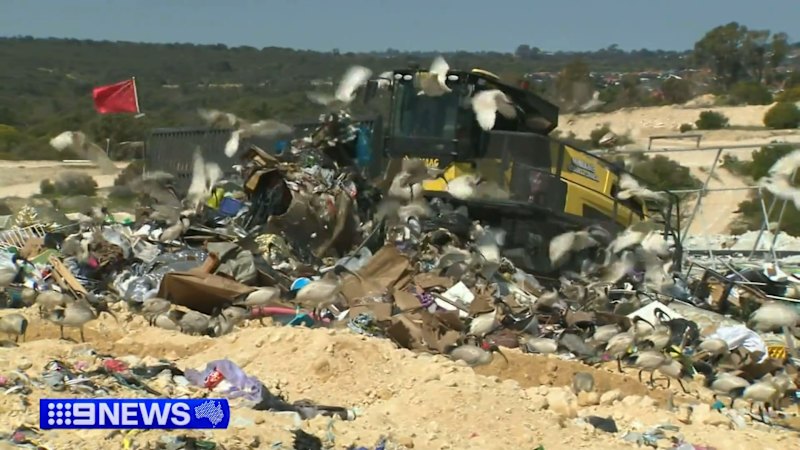 Perth residents demand answers over toxic liquid buildup at Tamala Park