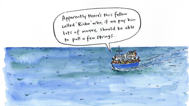 The latest illustrations from artist Cathy Wilcox