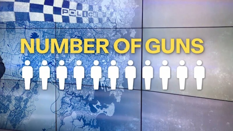 Bondi Beach tragedy puts spotlight on gun ownership