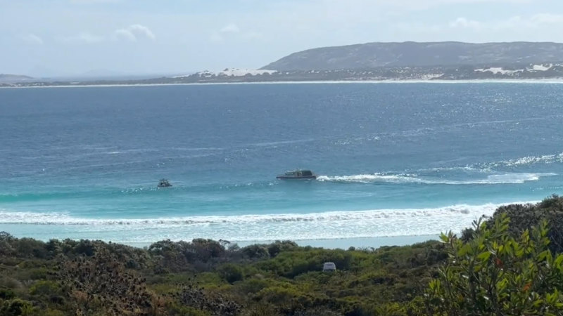 Melbourne man feared dead after WA shark attack