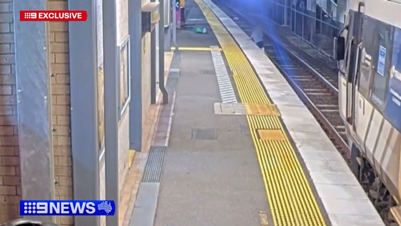 Dog owner survives after chasing pet onto railway tracks ahead of train