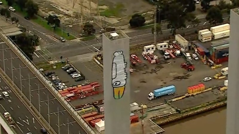 Alleged “Pam the Bird” graffiti vandal charged after bridge pylon stunt