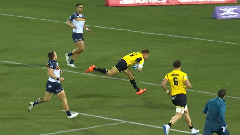 Love carves up the Brumbies