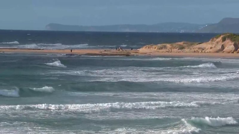 Body found in search for teen missing off NSW coast