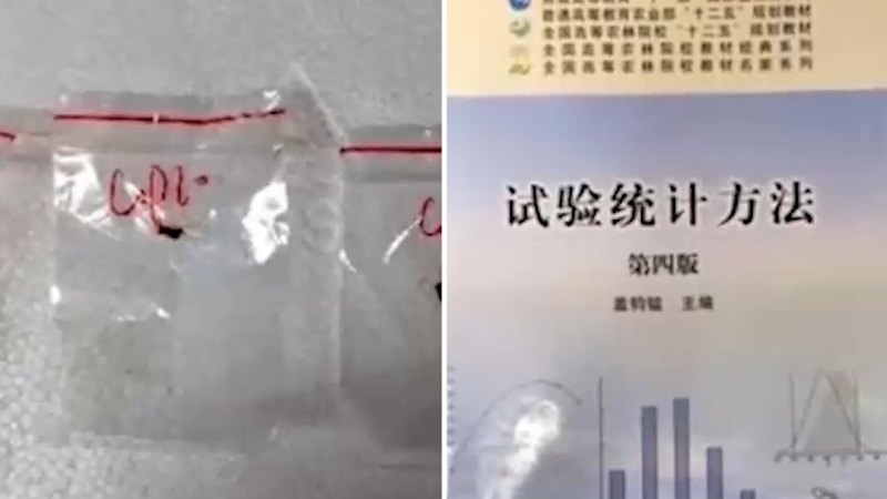 Two Chinese citizens accused of smuggling a dangerous fungus into the US