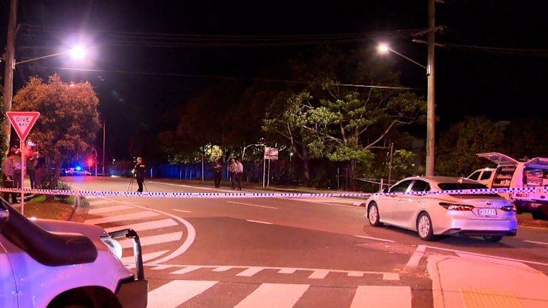 Man allegedly armed with knife shot by police in Logan