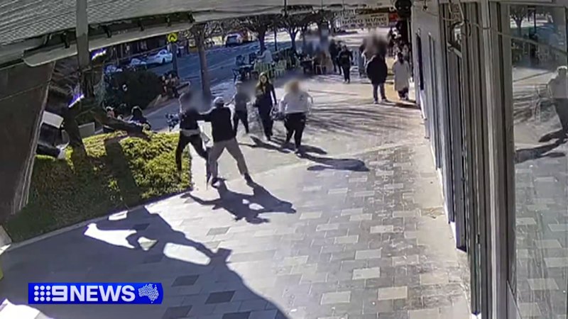 Shopworker critical after trying to stop alleged thieves