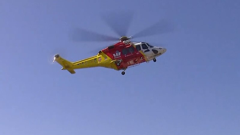 Woman killed, man injured in NSW shark attack