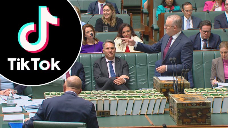 Albanese government expected to ban TikTok on government devices
