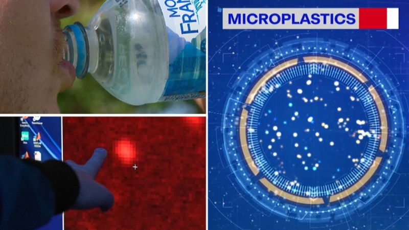 Microplastics link to cancer, study shows